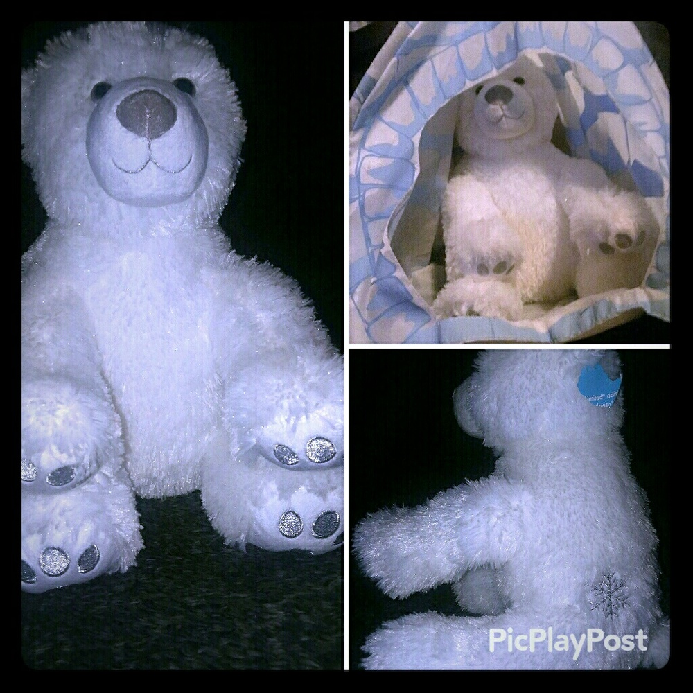 Build a Bear Snow Flakes Bear Limited edition